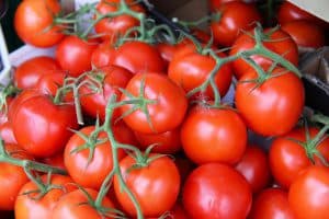 plantar tomates en macetas