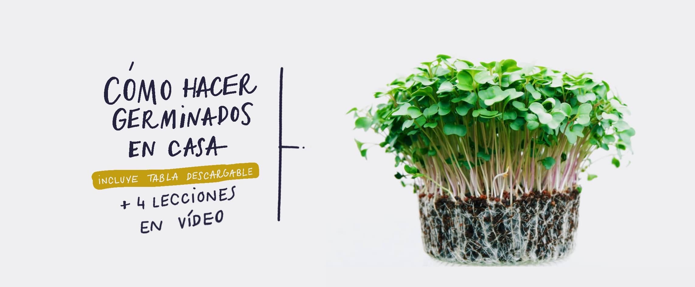 Banner blog 2Germinados