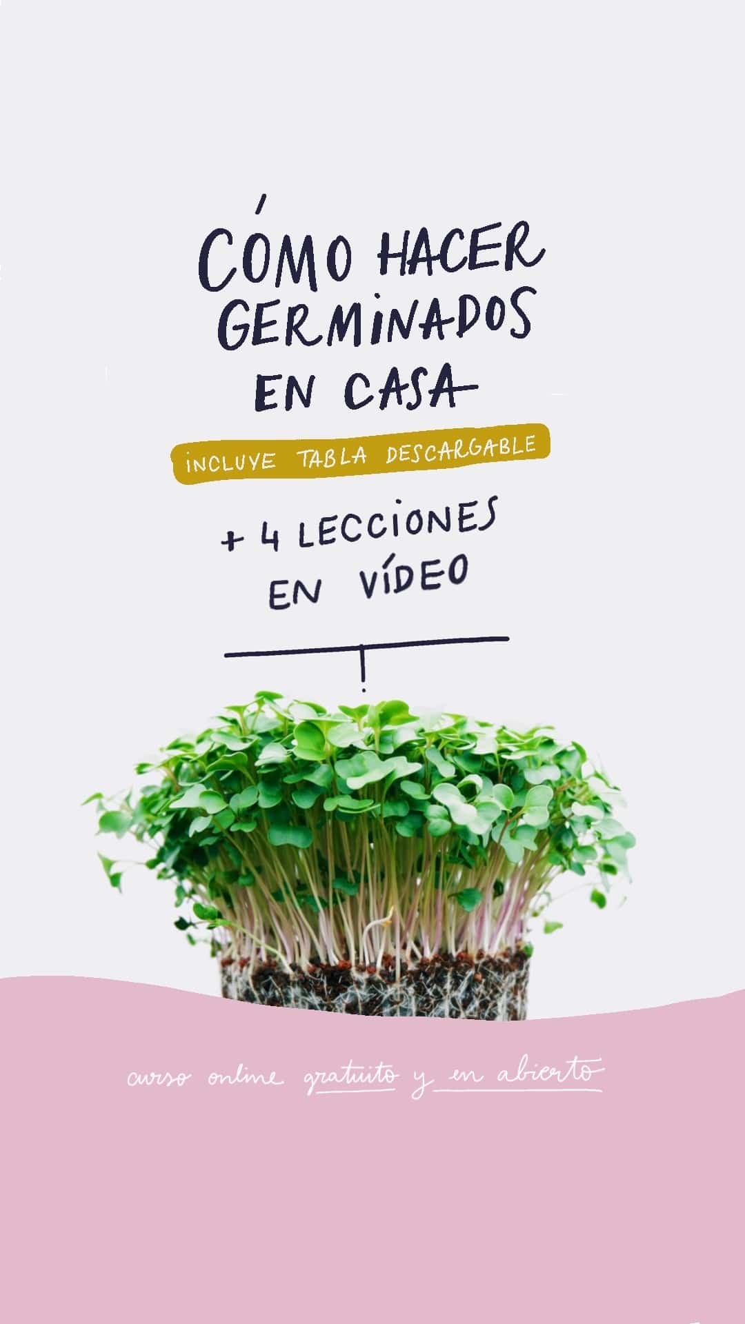 🍀♻️ Cómo hacer un germinador y germinar semillas en casa