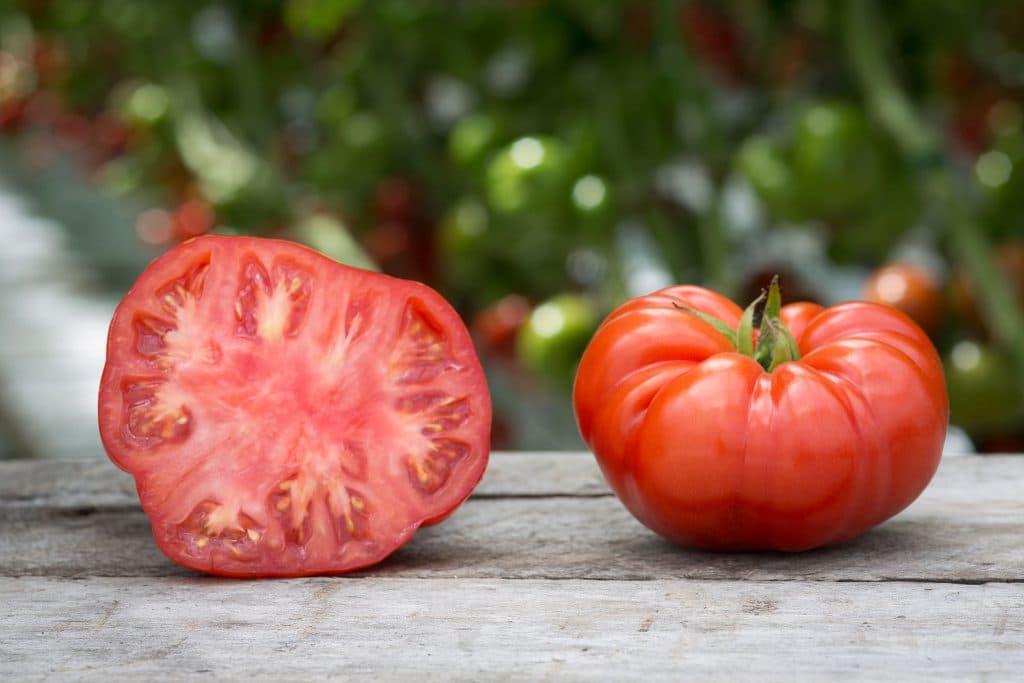 tomate corazon de buey