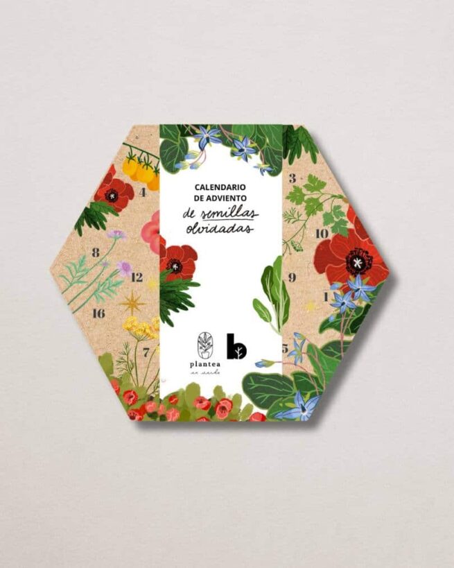 MOCK UP CALENDARIO DE ADVIENTO