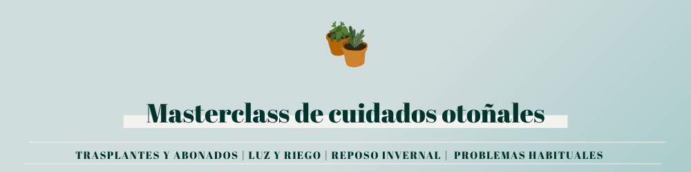 Masterclass de cuidados otoñales (Canvas Banner (1000 x 250 px))