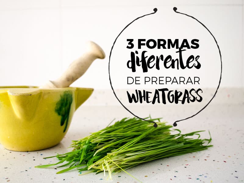 tres formas de preparar wheatgrass