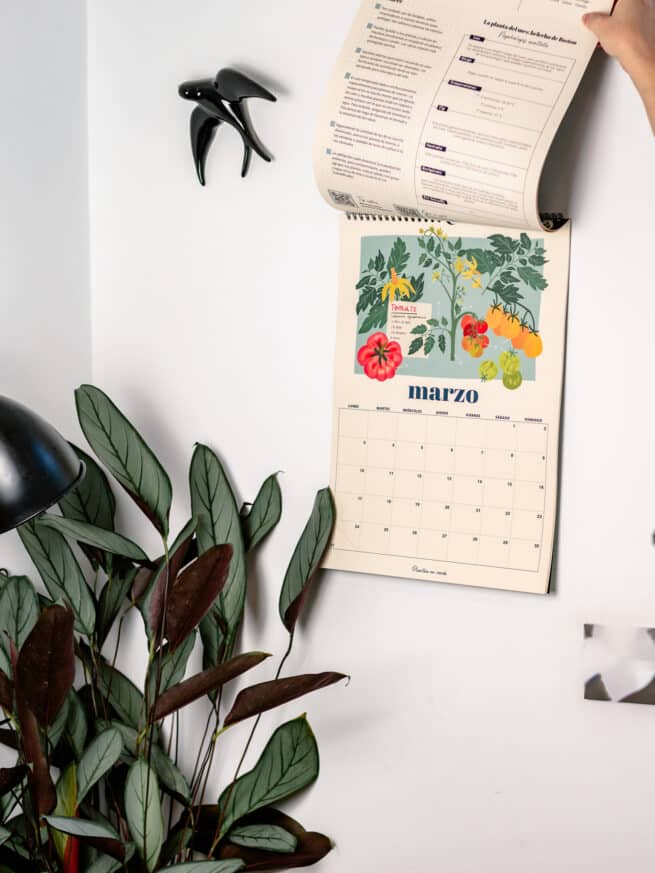 Calendario Botánico en papel 2025 - Imagen 3