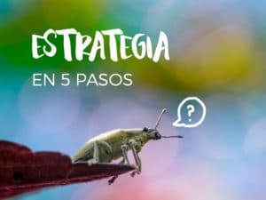 Tierra de diatomeas de grado alimenticio – Uso humano y de mascotas para  uso orgánico interno y externo, cientos de usos para ti, tus mascotas, tu