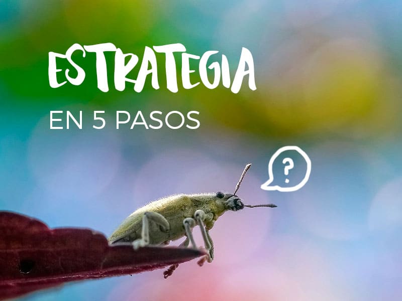 Combatir plagas del huerto en 5 pasos
