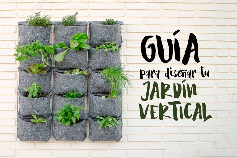 Guía para diseñar un jardín vertical en el huerto urbano