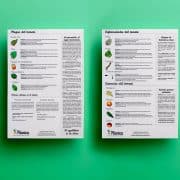 Guía de cultivo de tomates plagas y enfermedades
