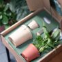 kit kokedama DIY productos