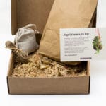 Kit para regalo Kokedama DIY