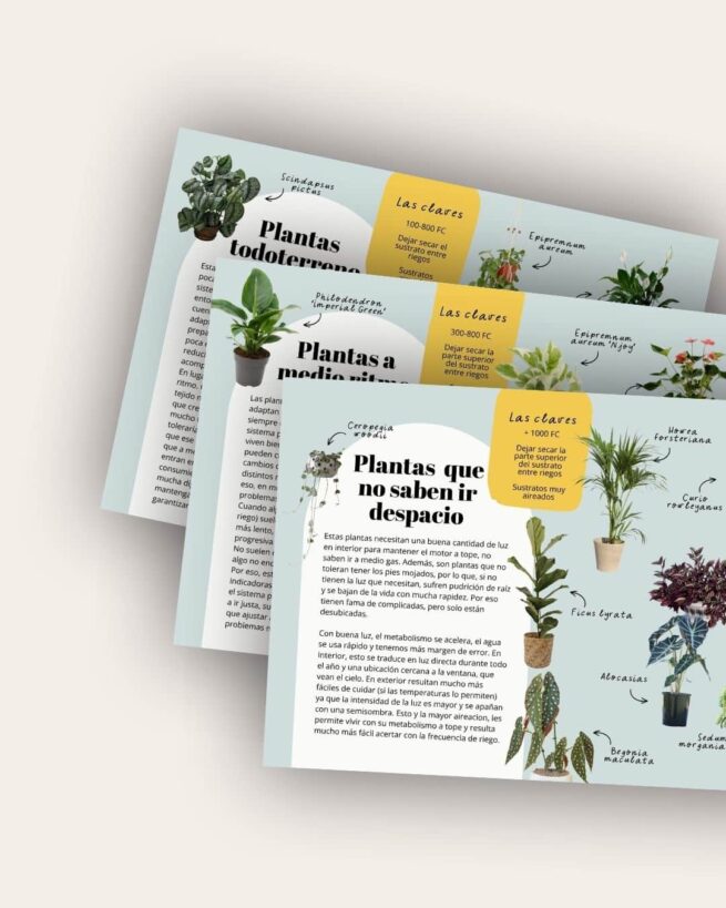 listados de plantas listados de plantas