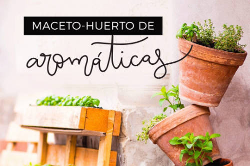 Taller de aromáticas