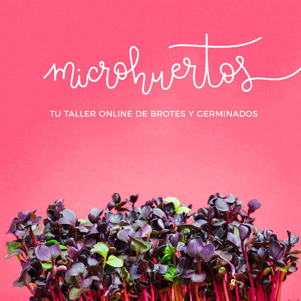 Taller de microhuertos