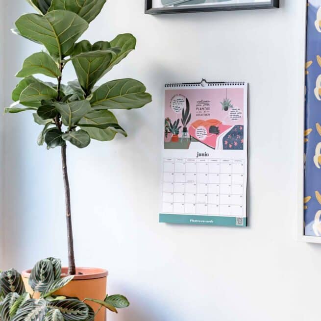 Calendario Botánico en papel 2024 - Imagen 6