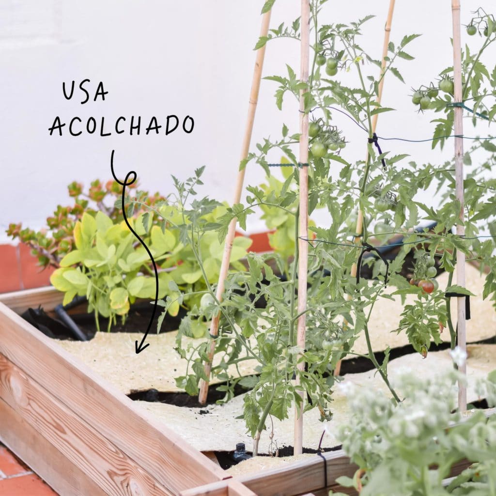 protege tu huerto del calor en verano - acolchado