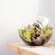 terrario-vertical-1-